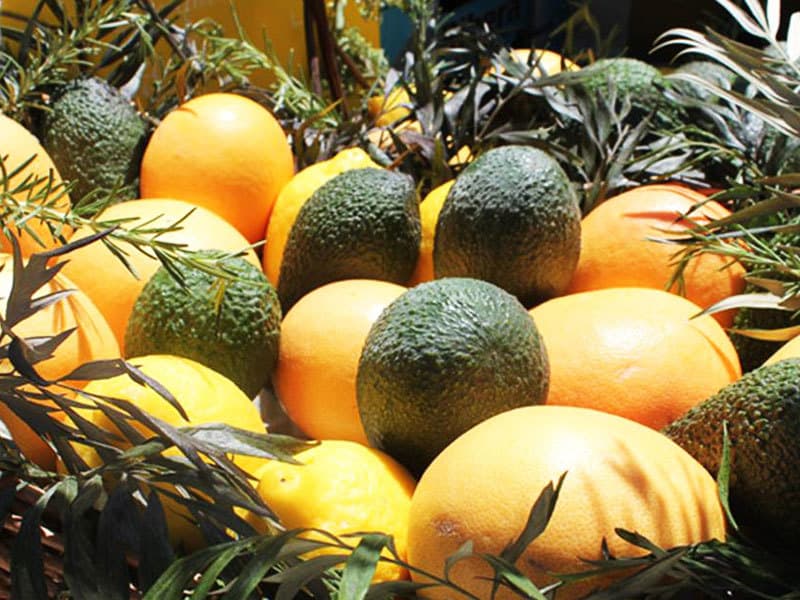 Festivales culturales y de cine en Uruapan, Michoacán